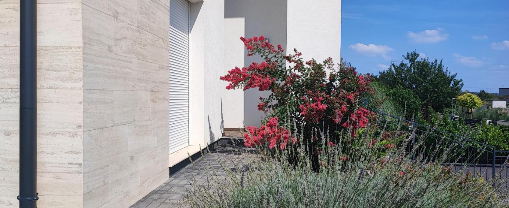 Apartamento White Column House Diosd Exterior foto
